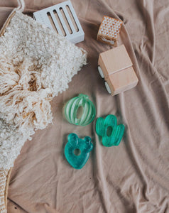 Cactus Water filled teethers (3 pack)